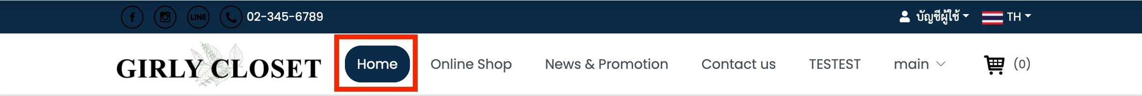 การใช้งาน การปรับแต่งรูปแบบ Header