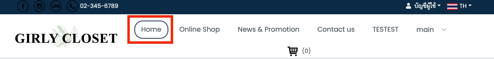 การใช้งาน การปรับแต่งรูปแบบ Header