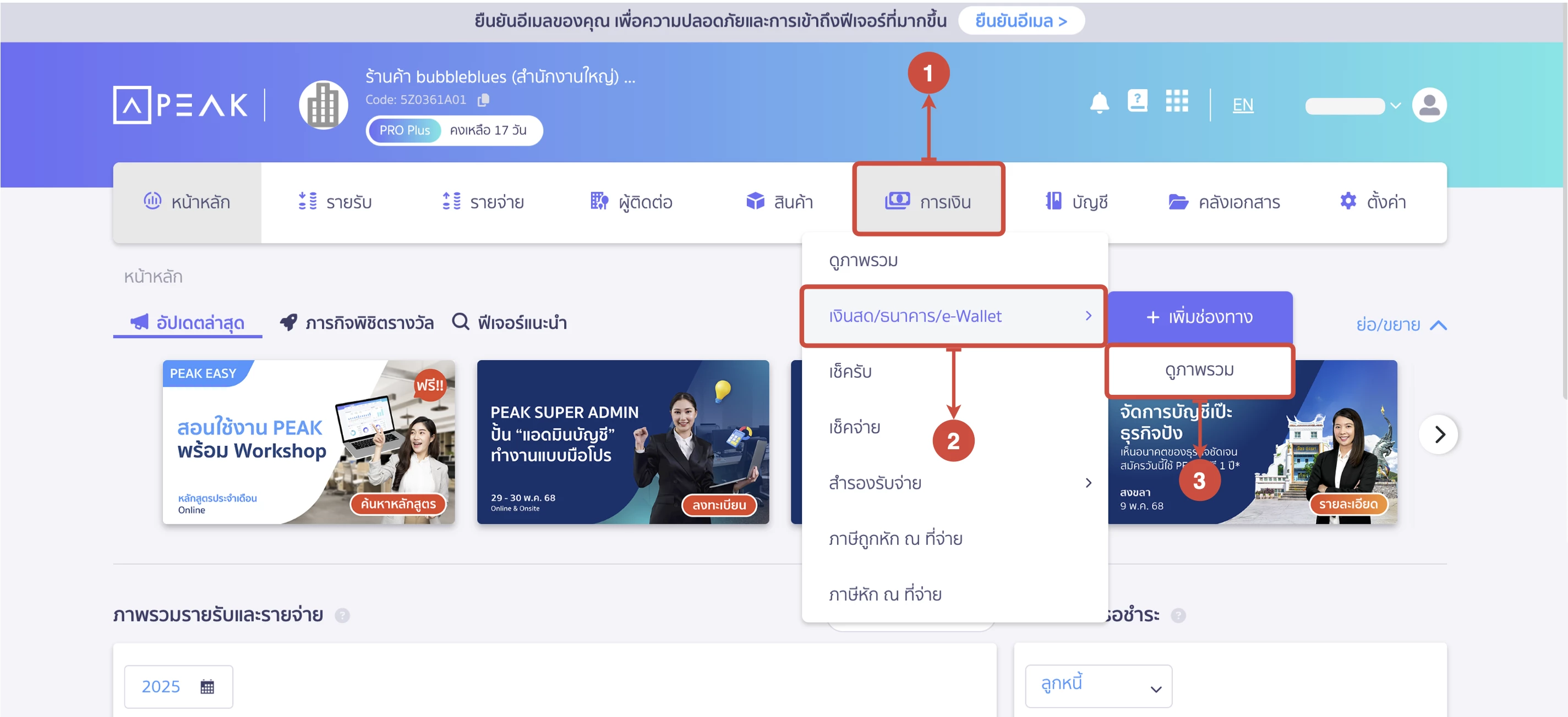 การเชื่อมต่อระบบบัญชี PEAK Account