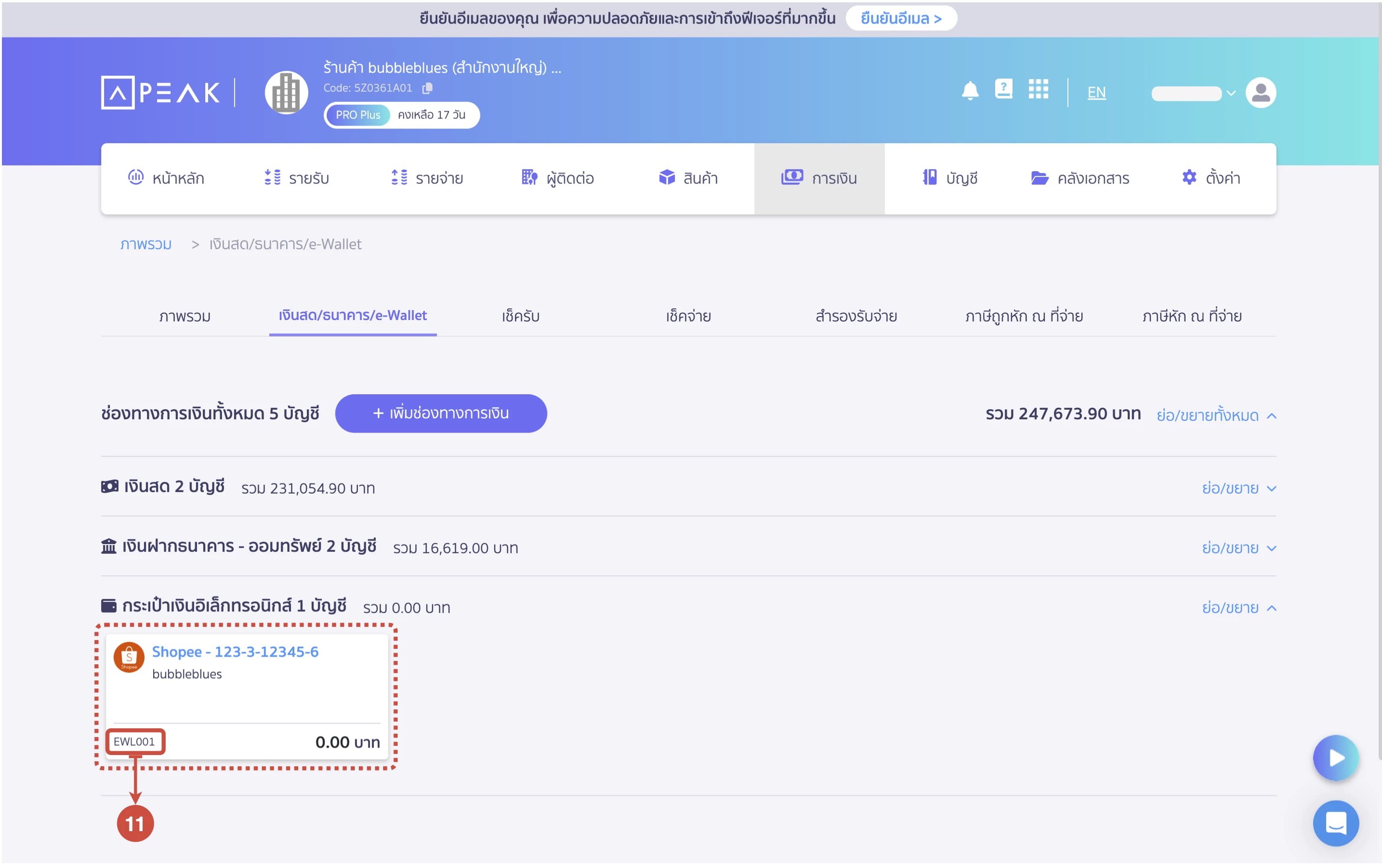 การเชื่อมต่อระบบบัญชี PEAK Account