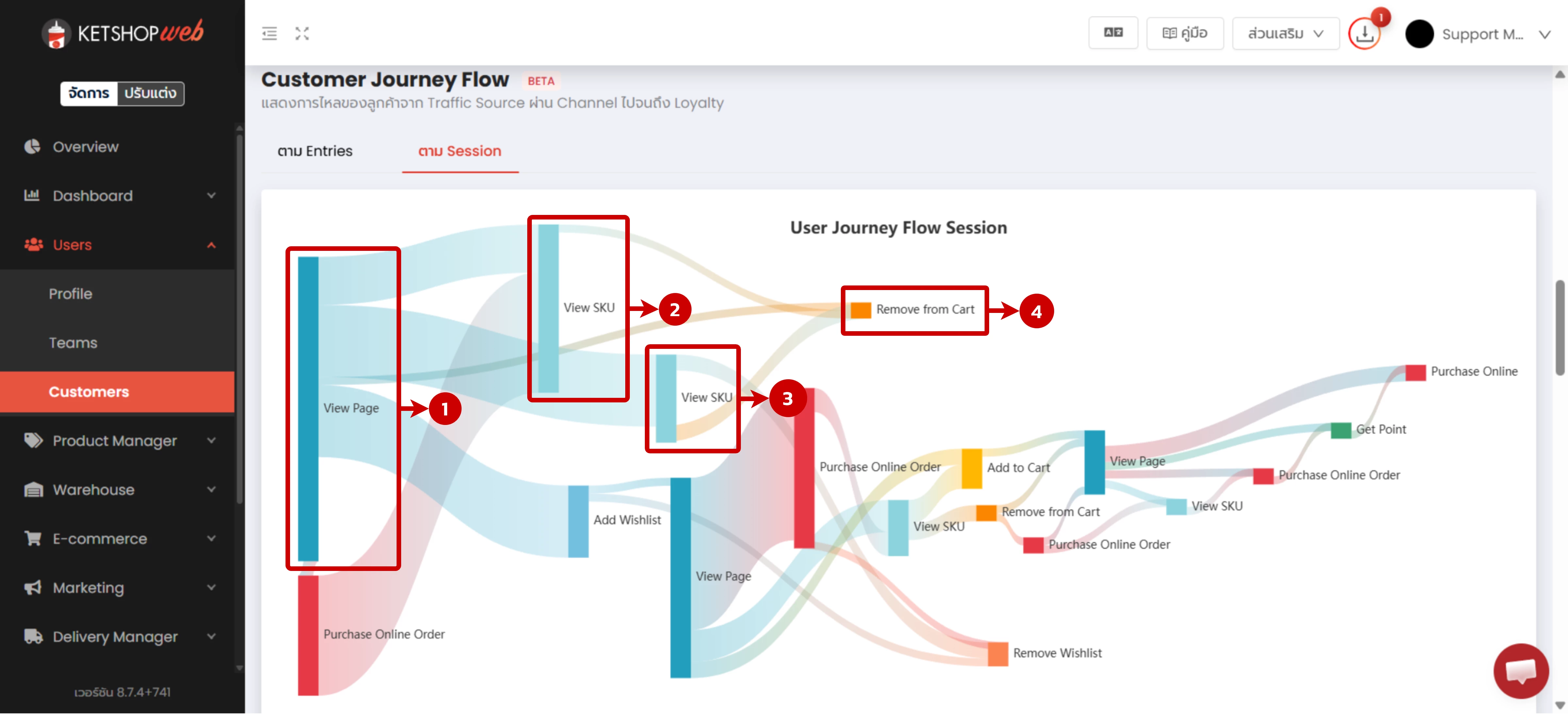 Customer Journey Flow - Session view